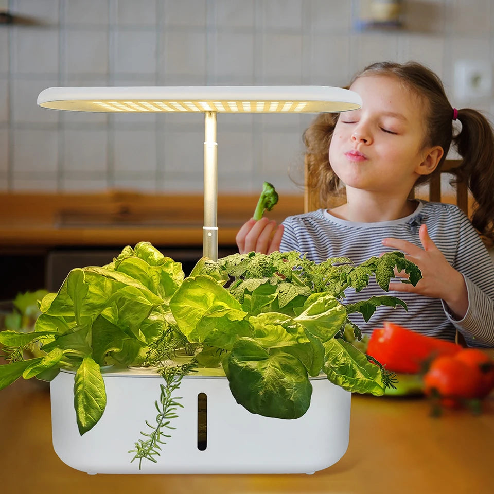 potager d'intérieur